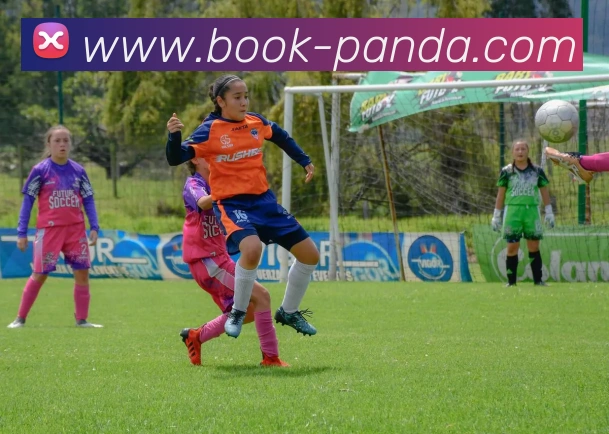 熊猫体育app服务体系